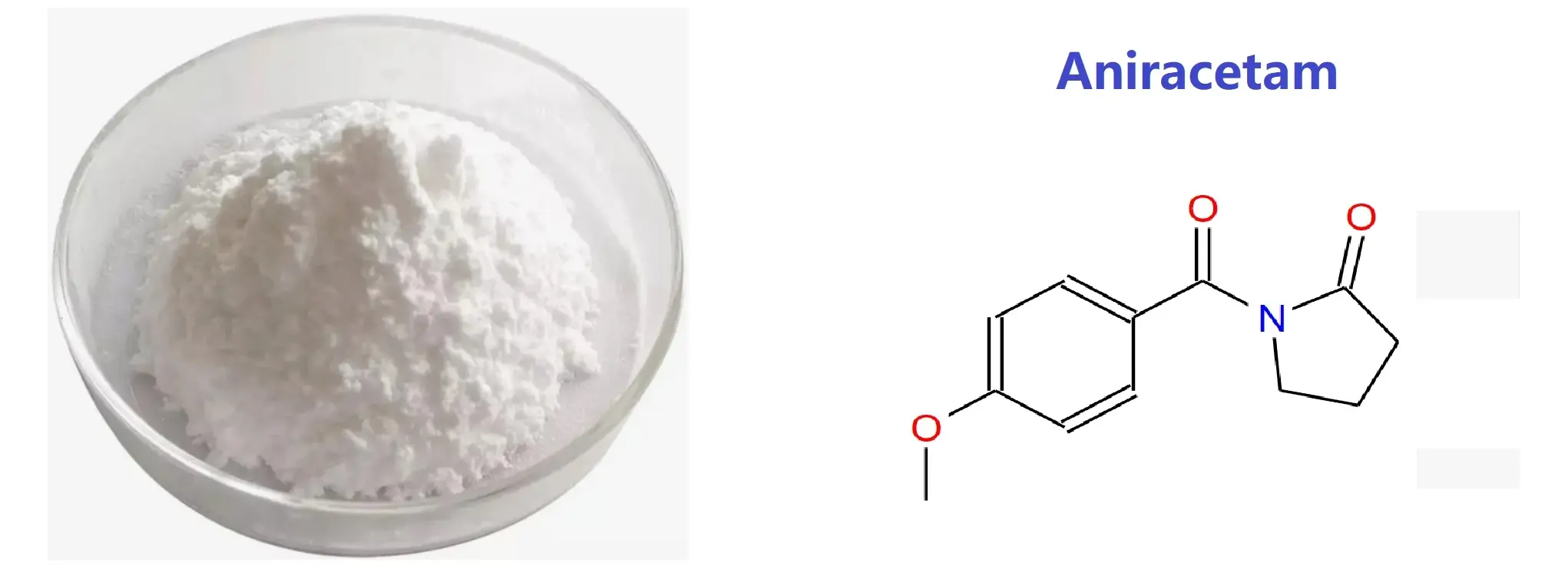 Aniracetam powder.webp